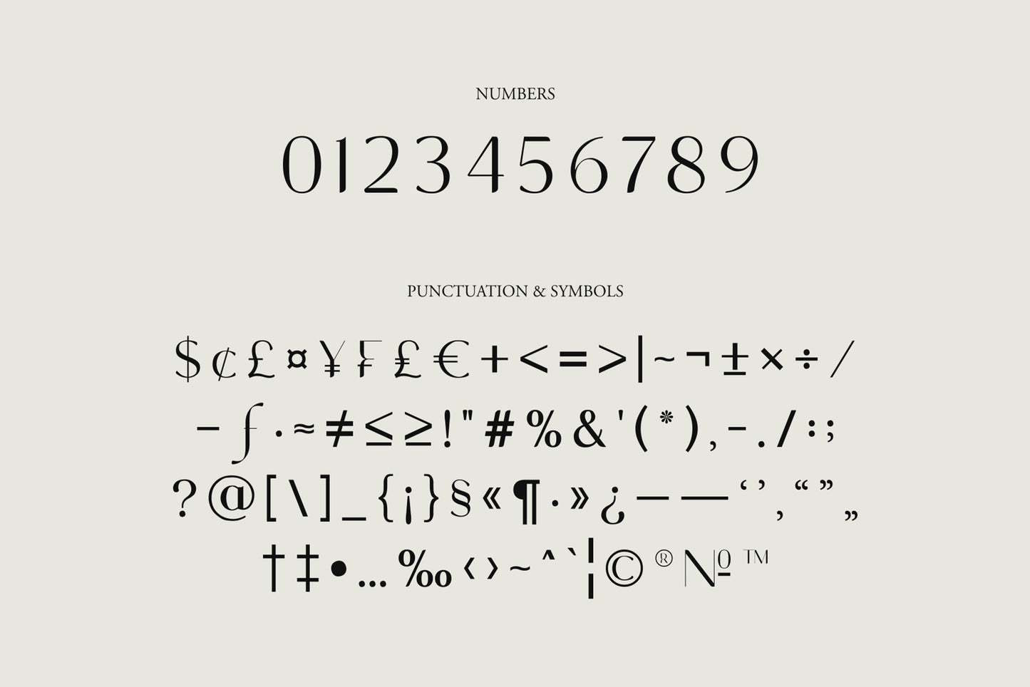 NCL GASDRIFO • Serif Typeface