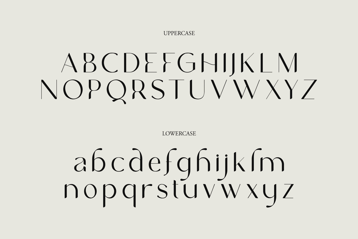 NCL GASDRIFO • Serif Typeface